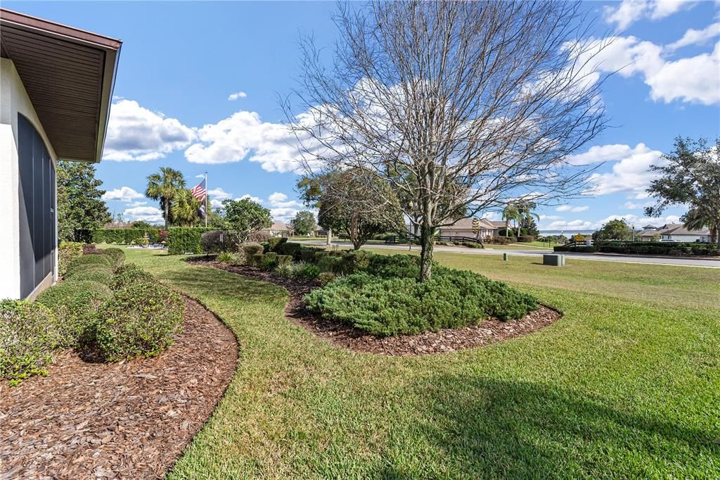 Backyard view of landscape border for privacy!