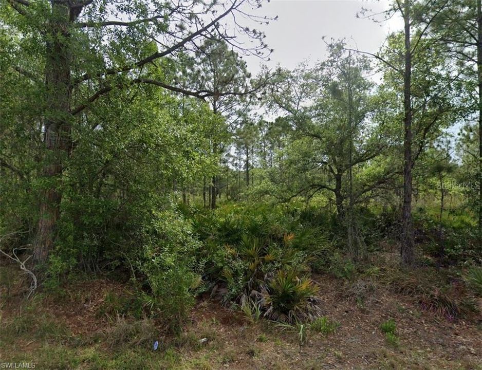 For Sale: $32,000 (0.23 acres)