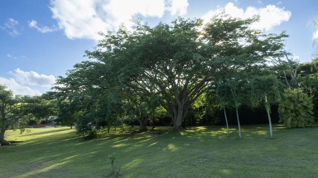 For Sale: $940,000 (2 beds, 2 baths, 1205 Square Feet)