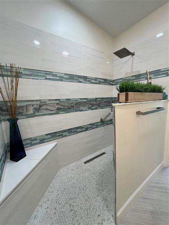 Accessible Shower with Grab Bar