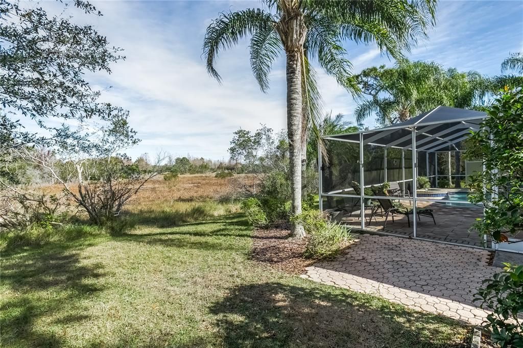 Backyard overlooking the preserve