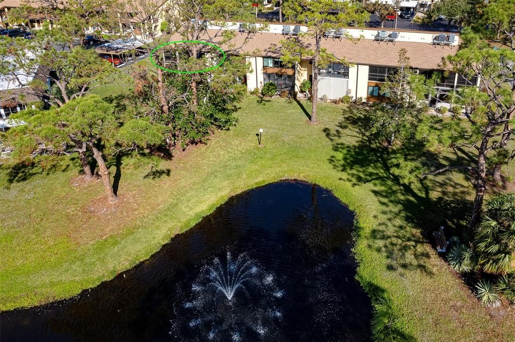 Large pond view