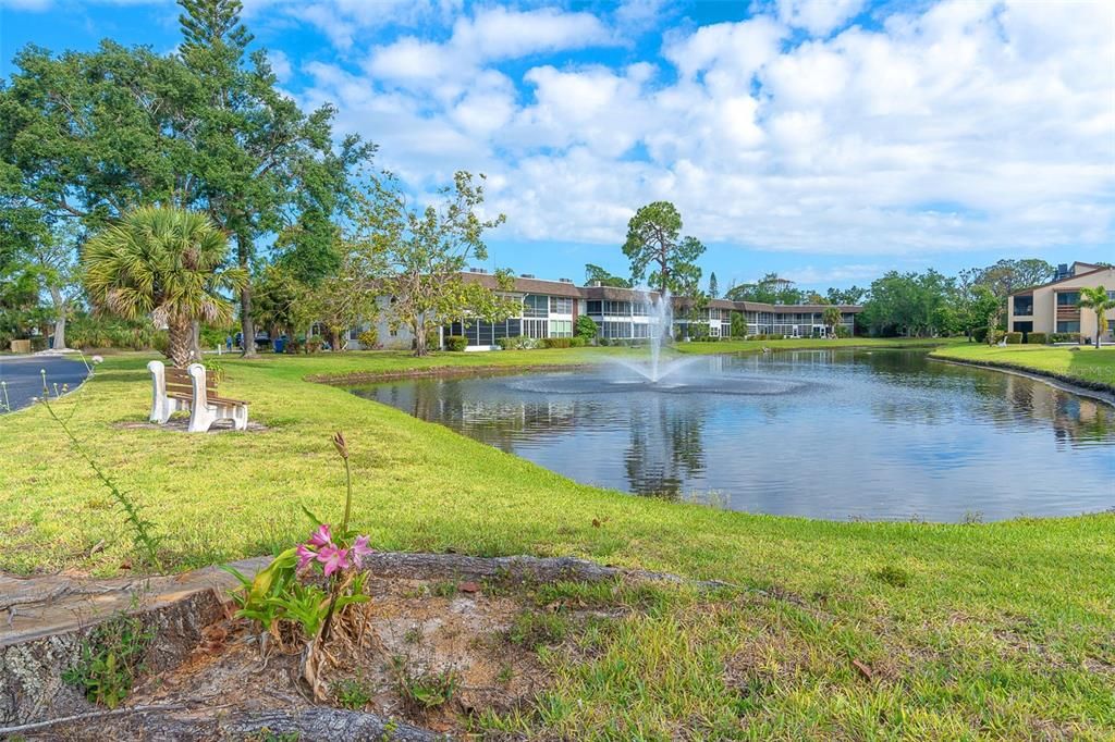 Pond view