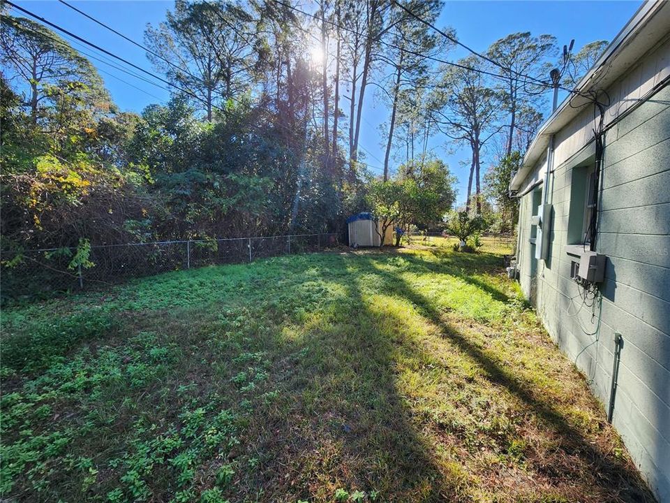 Backyard and Shed