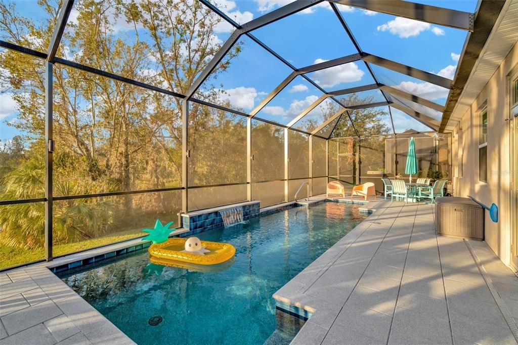 Screen Enclosed Pool with Sunning Shelf