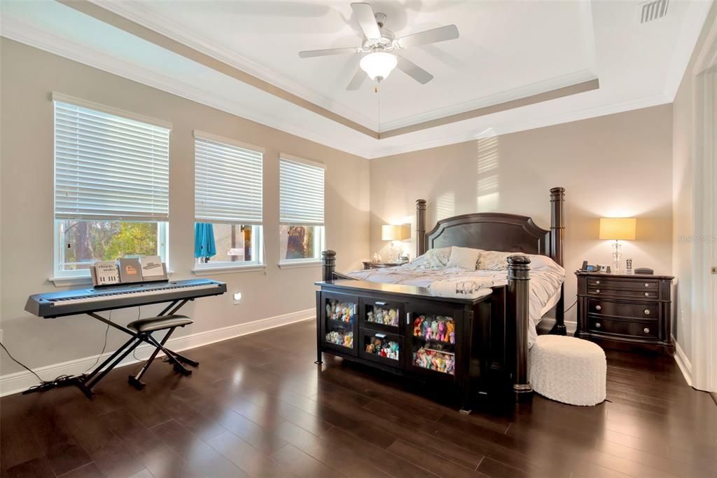 Master Bedroom Suite with Tray Ceiling