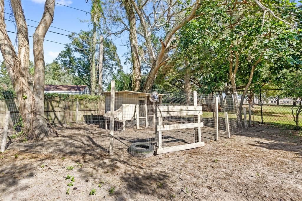 Backyard with Chicken Coop