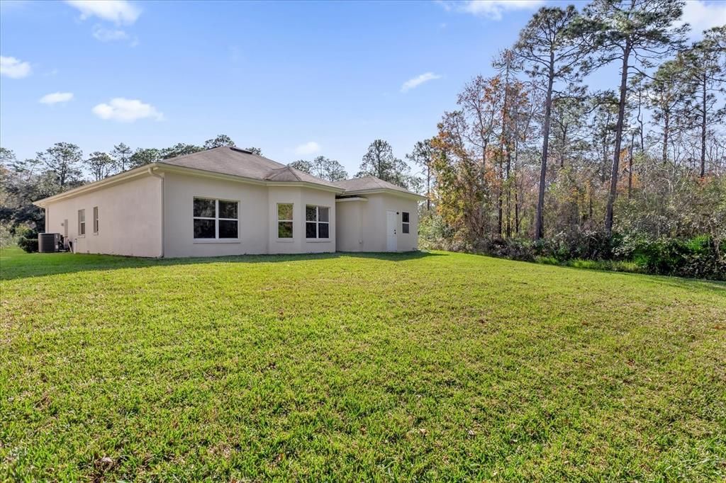 HUGE  backyard ready for a pool, garden/ both