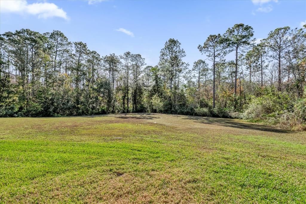 open field greenspace to the left of the home