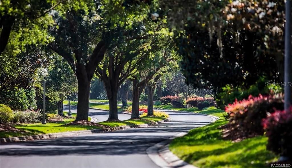 Lush landscaping greets you throughout the Terra Vista community.