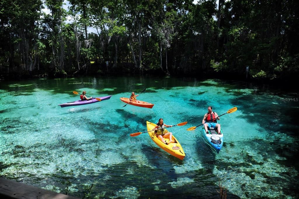 Outside of the Terra Vista and Citrus Hills communities, enjoy the abundance of natures's offerings that give the Florida Nature Coast its name.