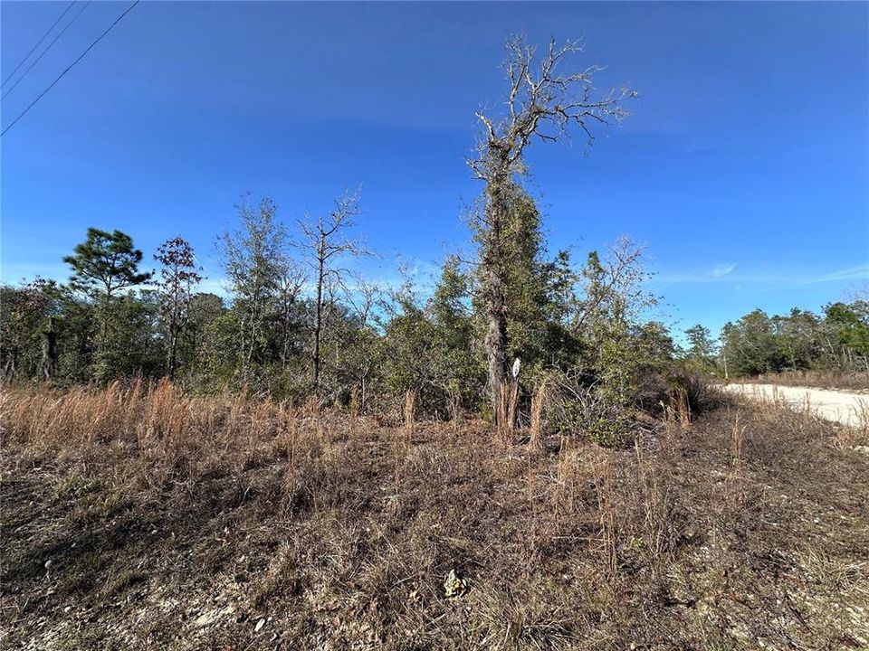 For Sale: $11,500 (0.25 acres)