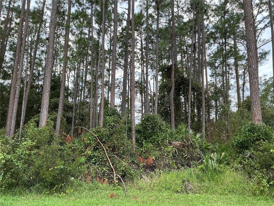 Recently Sold: $81,000 (0.29 acres)