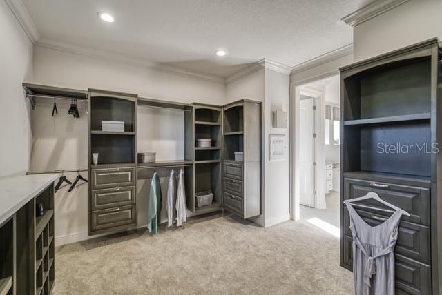 Primary Walk-in Closet