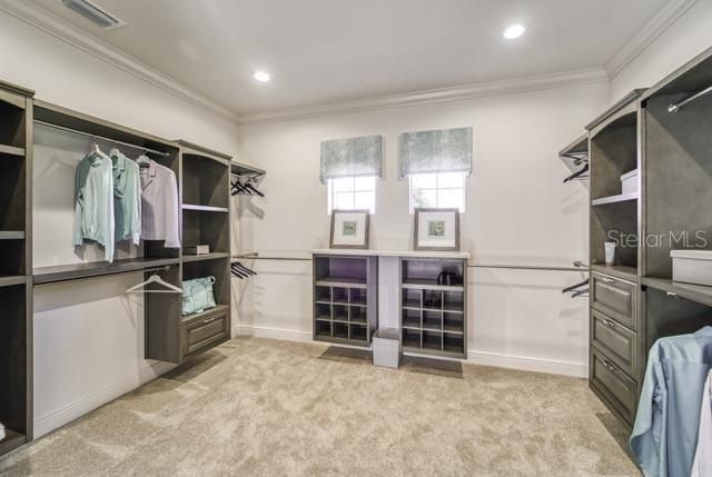 Primary Walk-in Closet