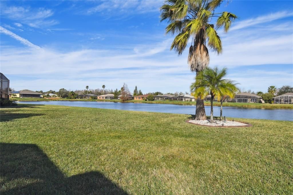 Blue skies,Palms, and your own waterview