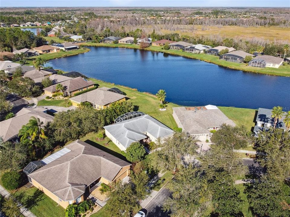 Overhead pond view