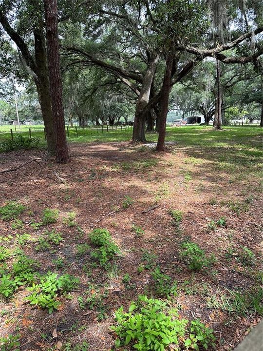 For Sale: $170,000 (1.21 acres)