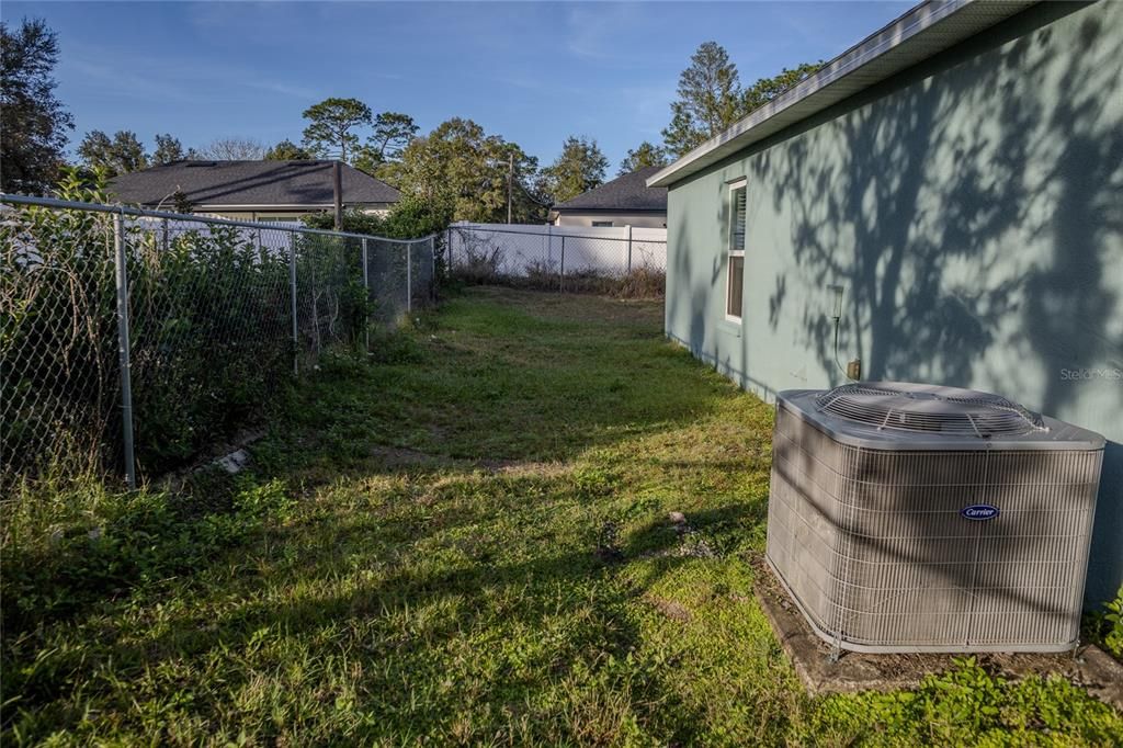 West side yard from south.