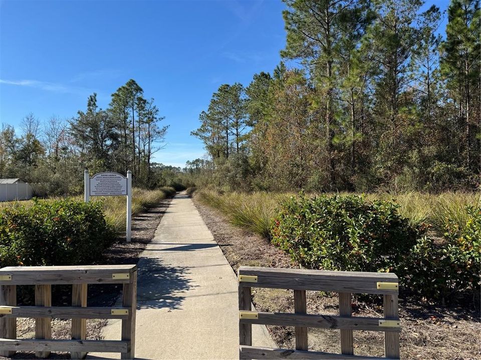 enjoy nature on your way to the Kayak launch