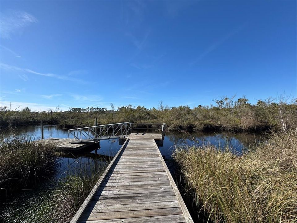 Kayak Launch area.