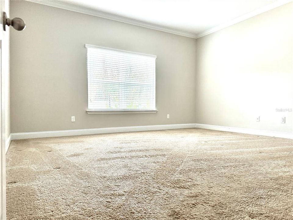 Large Primary Bedroom with crown molding and large window