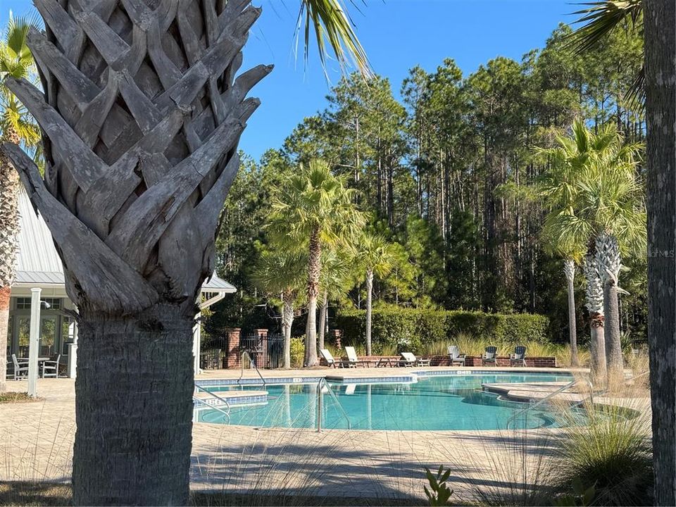 Lush Community pool area