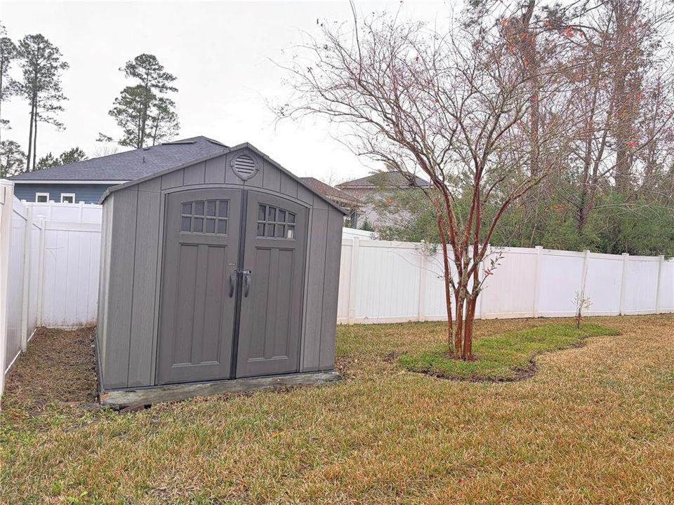 Shed for extra storage