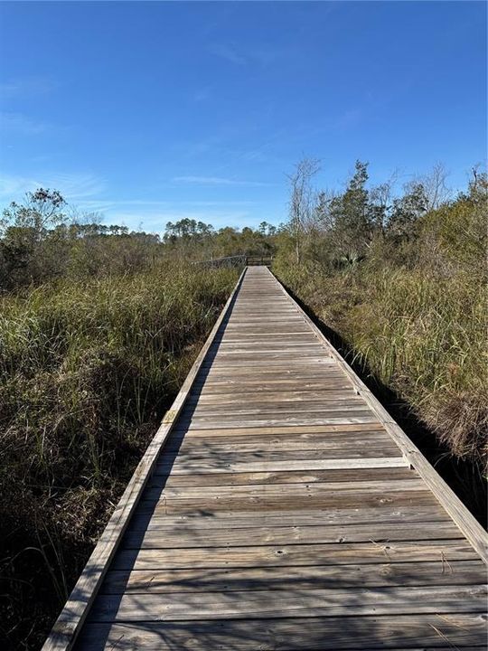 enjoy nature on your walks to the kayak launch