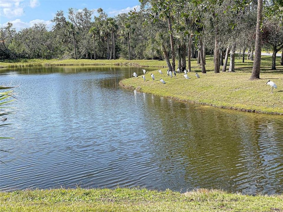 Villa Milano Pond