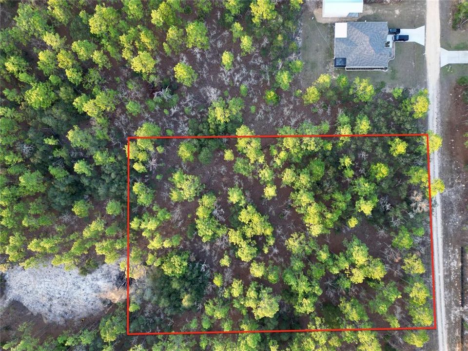 For Sale: $69,999 (1.16 acres)