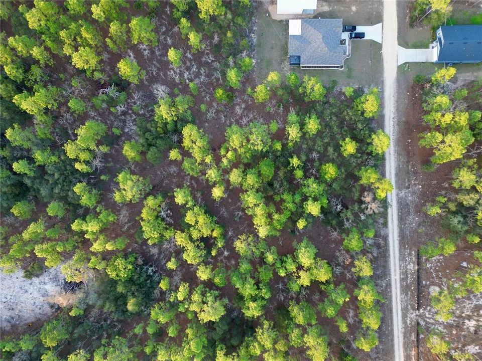 For Sale: $69,999 (1.16 acres)