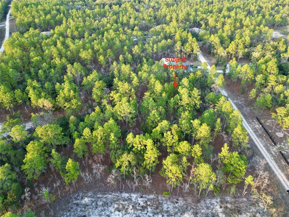 For Sale: $69,999 (1.16 acres)