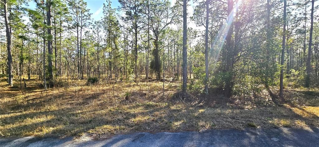 Active With Contract: $25,900 (1.01 acres)