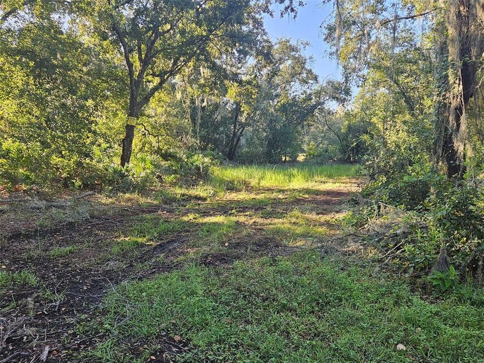 dirt trail back to property