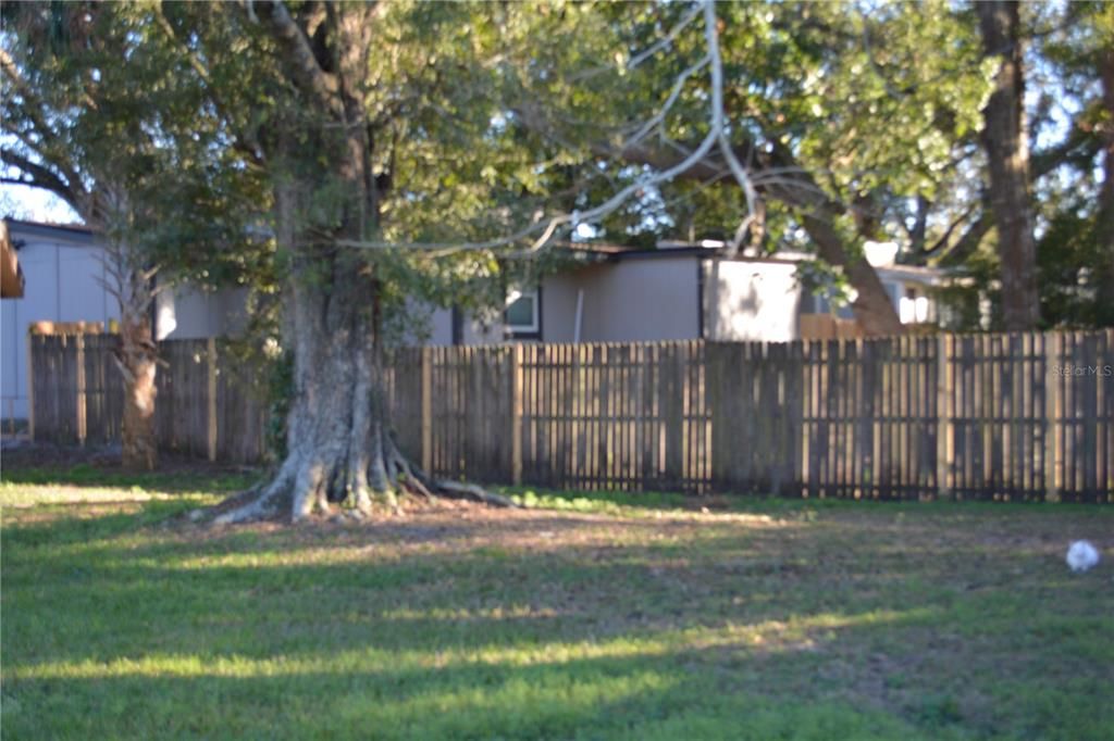 Partially fenced back yard