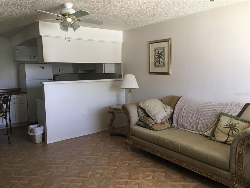 Living Room/Kitchen view