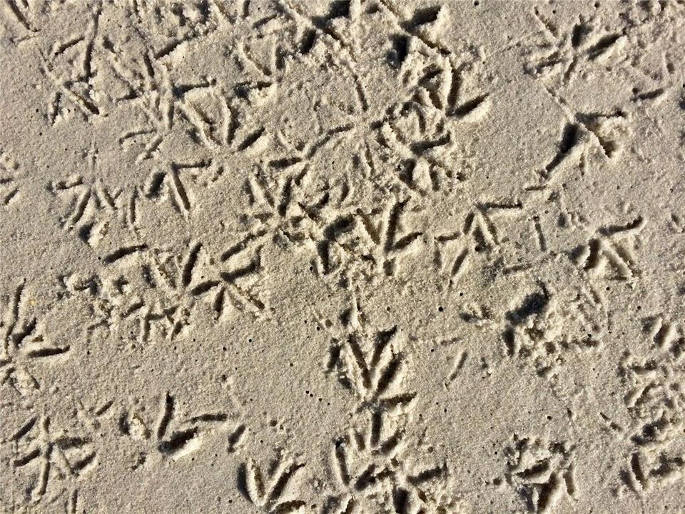 На продажу: $150,000 (2 спален, 1 ванн, 684 Квадратных фут)