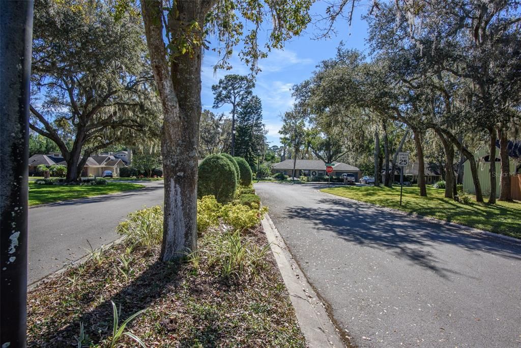 Neighborhood with tree lined streets.