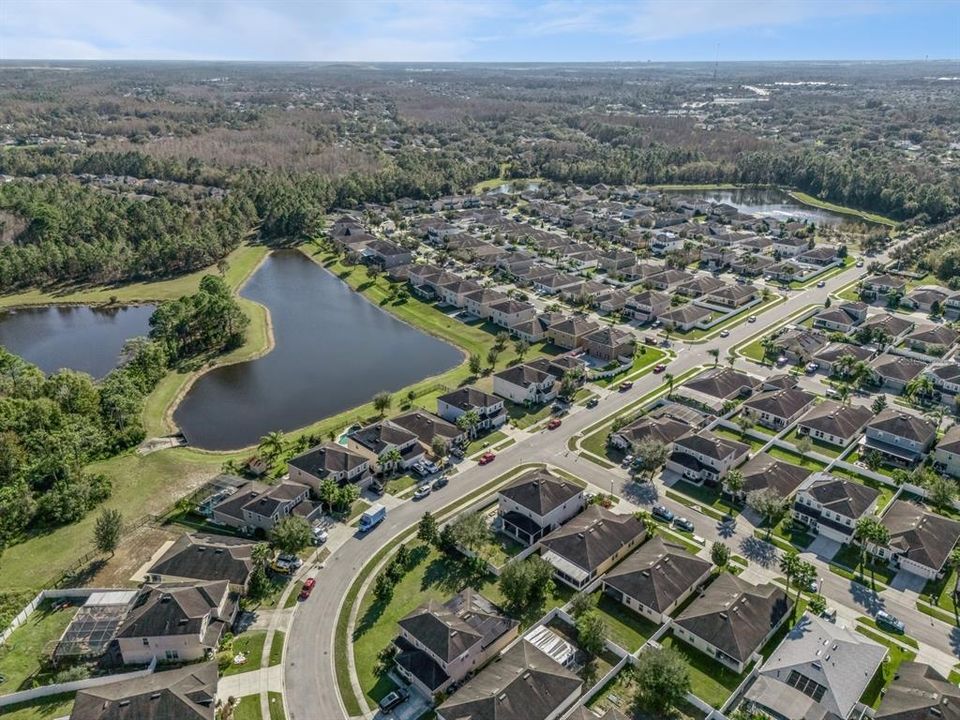 Ariel view of neighborhood