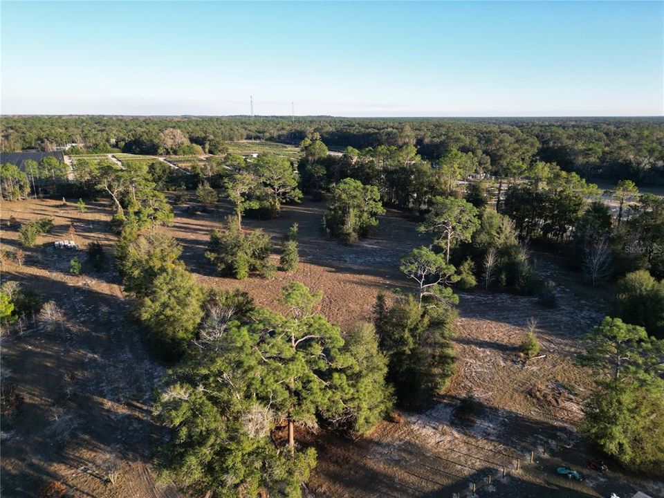 For Sale: $274,900 (4.96 acres)