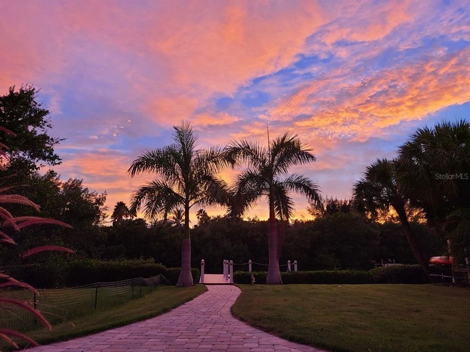 Backyard pre-fence. Sunset Central