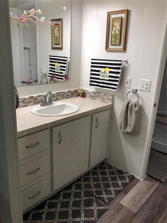 Primary bathroom sink area