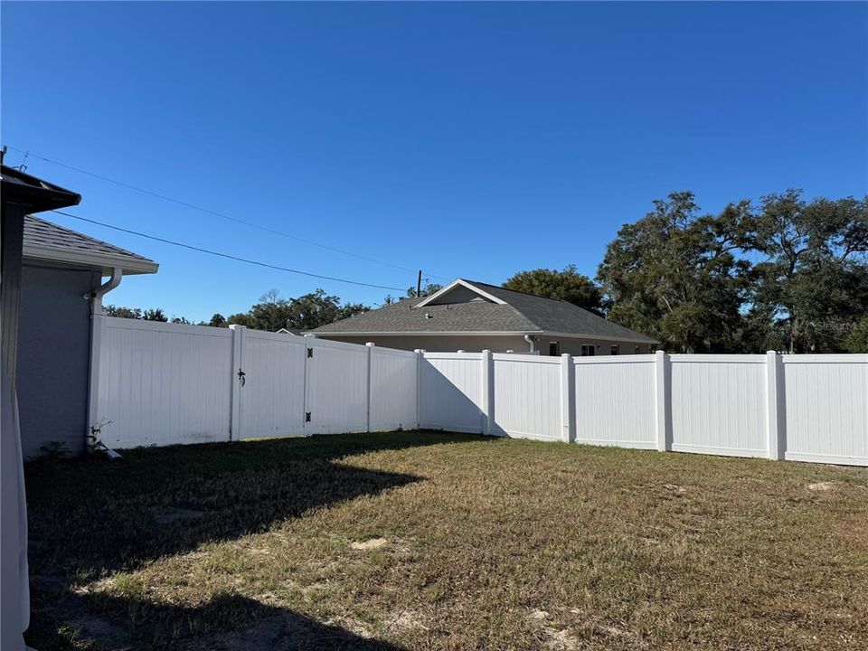 Back yard fence view