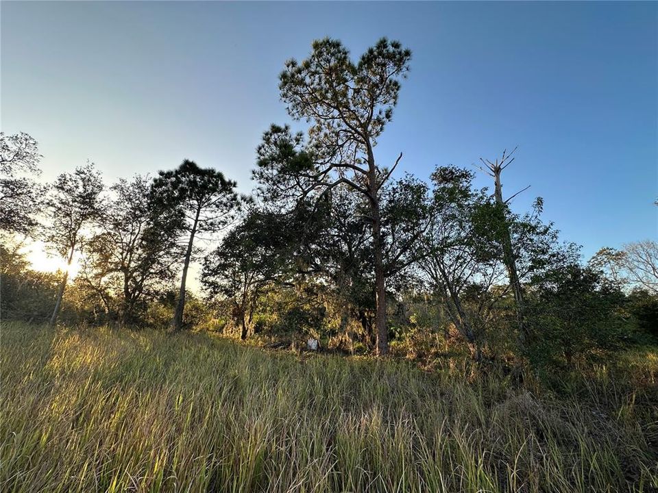 En Venta: $270,000 (11.66 acres)