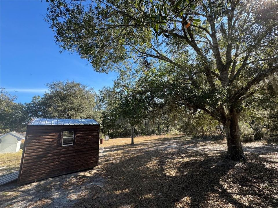 8x8 Storage Shed