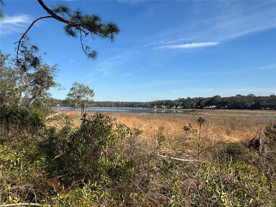 Tiger Lake View