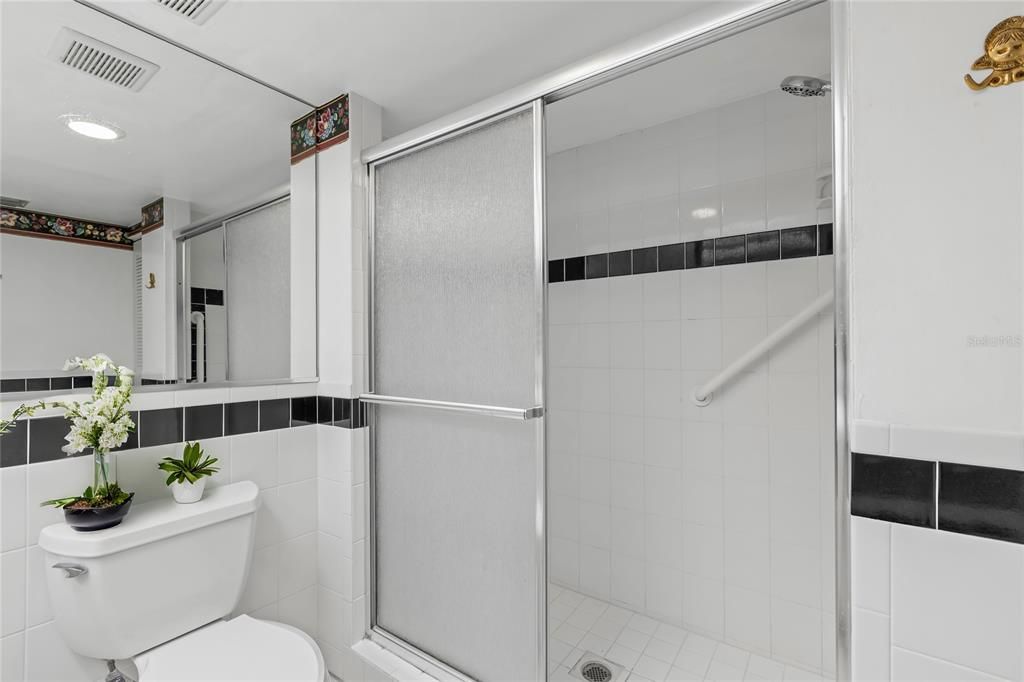 Step-in shower with pull out sprayer in guest bath. Virtual staging.