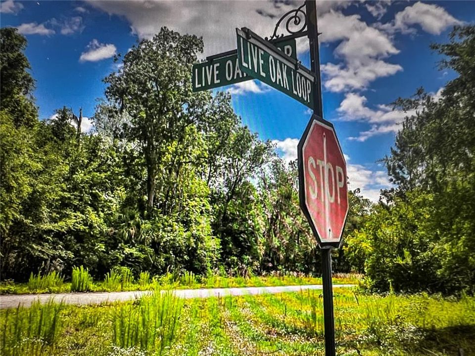 For Sale: $29,900 (0.21 acres)