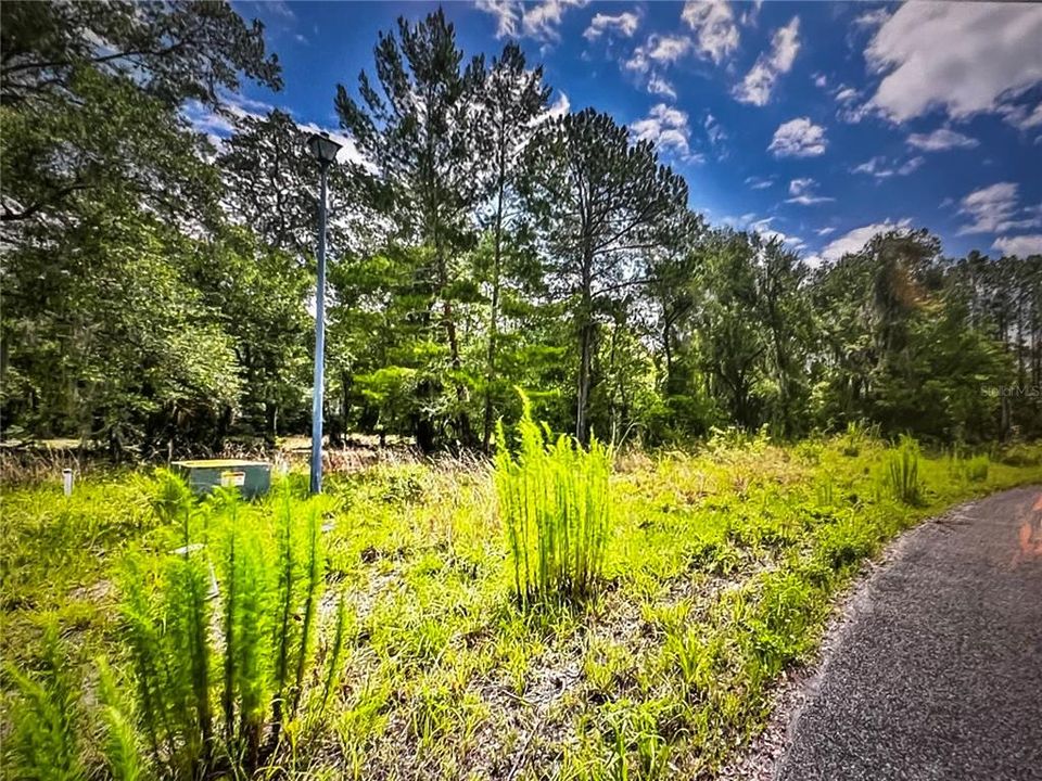 For Sale: $29,900 (0.21 acres)